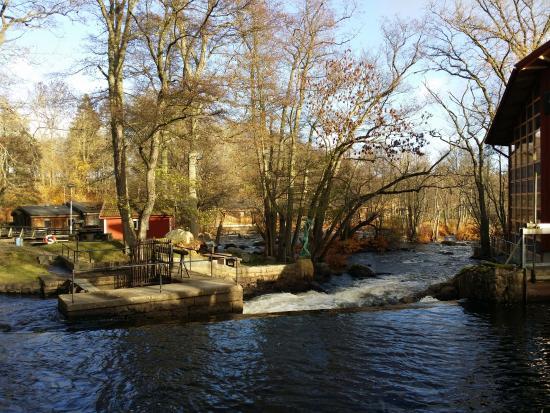 Salmon House