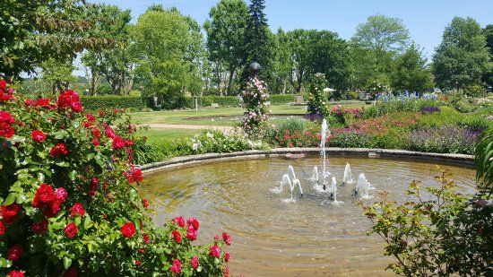 Europe's Rose Garden
