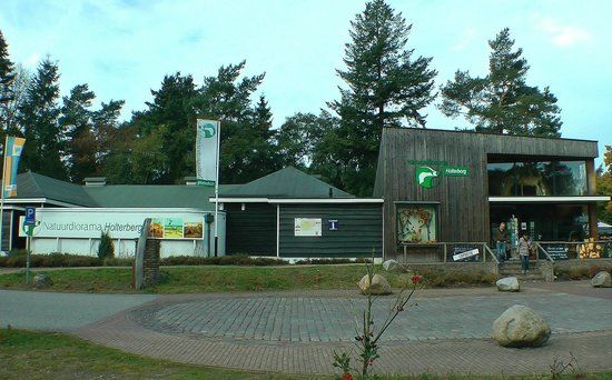 Holterberg Nature Museum