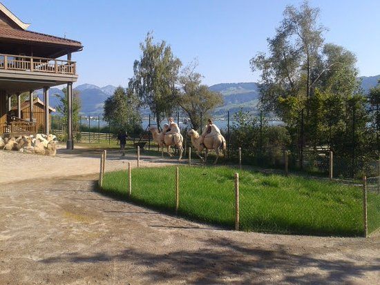 Zoológico Knie's Kinderzoo