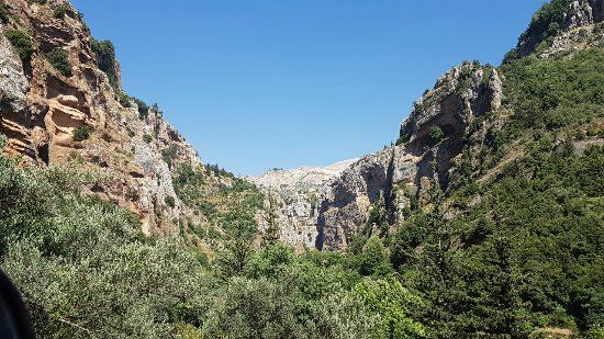 Horsh Ehden Nature Reserve