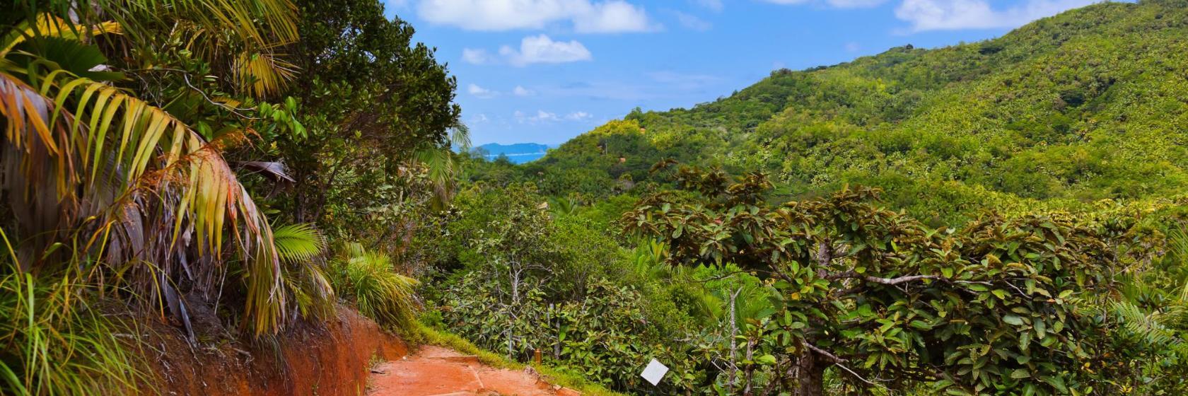 Vallée de Mai naturreservat