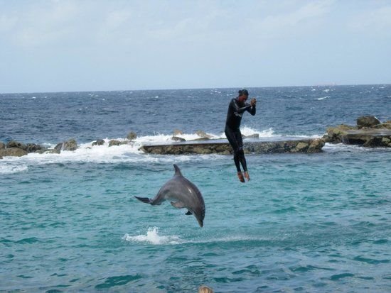 Curacao Underwater Marine Park