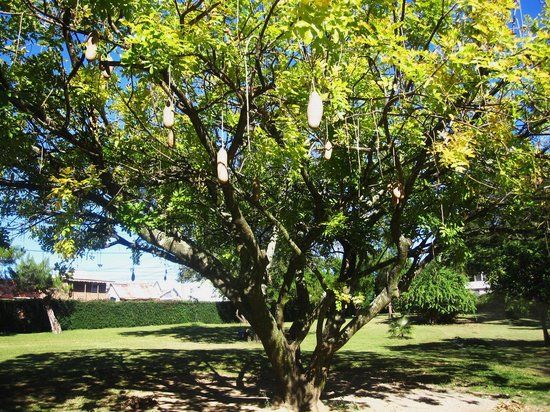 Dominica Botanic Gardens