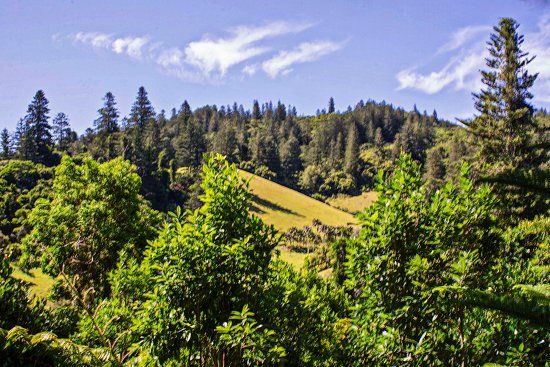 Norfolk Island National Park & Botanic Garden