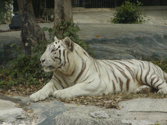 Vườn thú Đại Nam