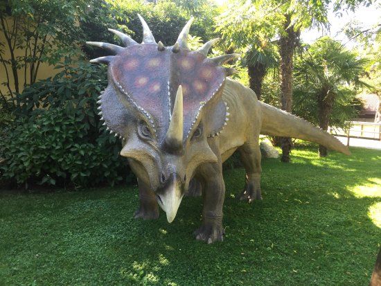 Animal Park Cappeller