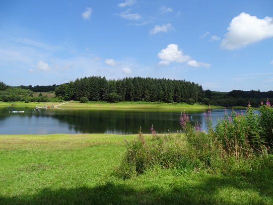 Wistlandpound Reservoir
