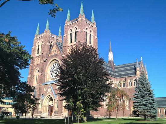 St. Peter's Cathedral Basilica