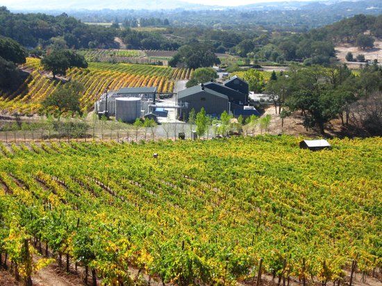 Imagery Estate Winery & Art Gallery