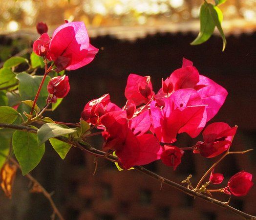 Nature Education Park