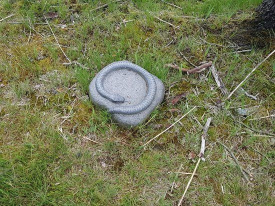 Baldersbaek plantage