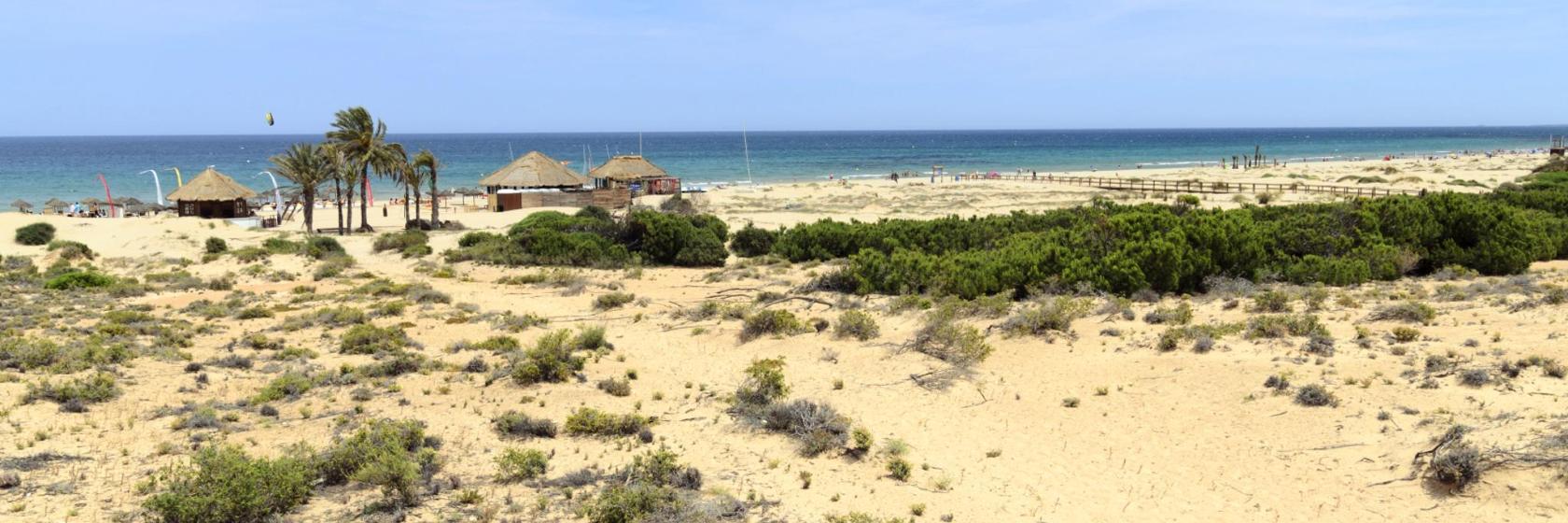 Playa Carabassi Beach