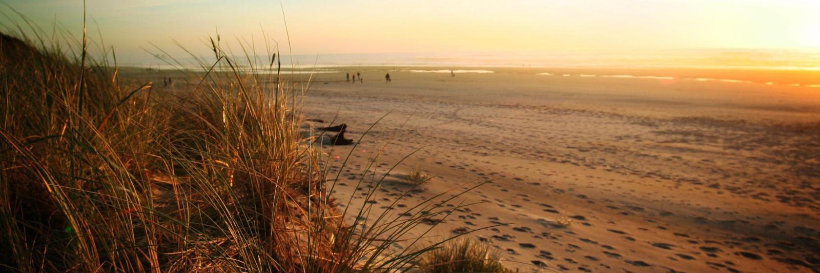 Playa de Montalvo