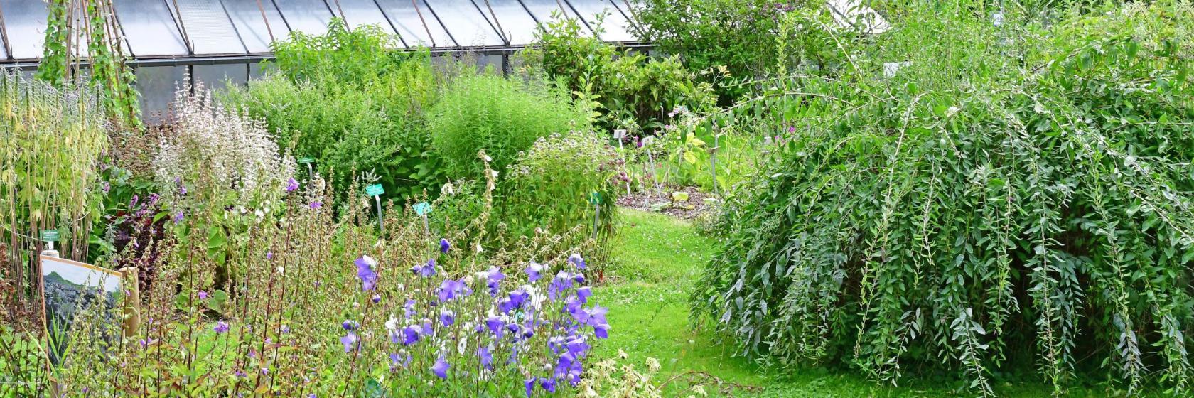 The Botanical Gardens