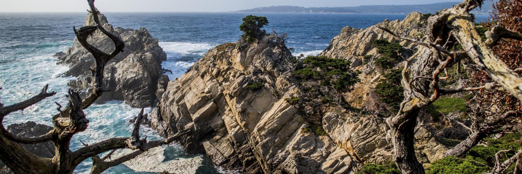 Point Lobos State Reserve