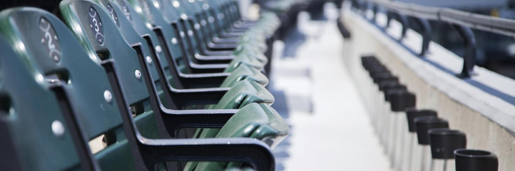 Pierre de Coubertin Stadium