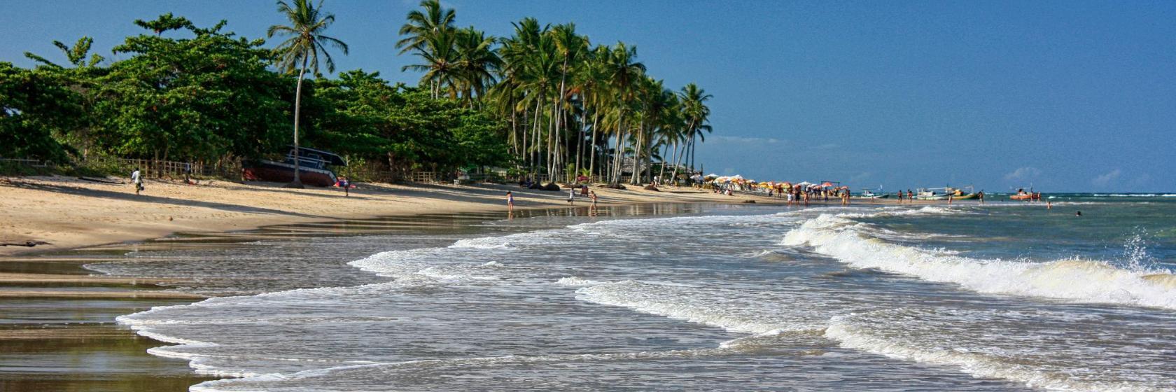 Coqueiros Beach