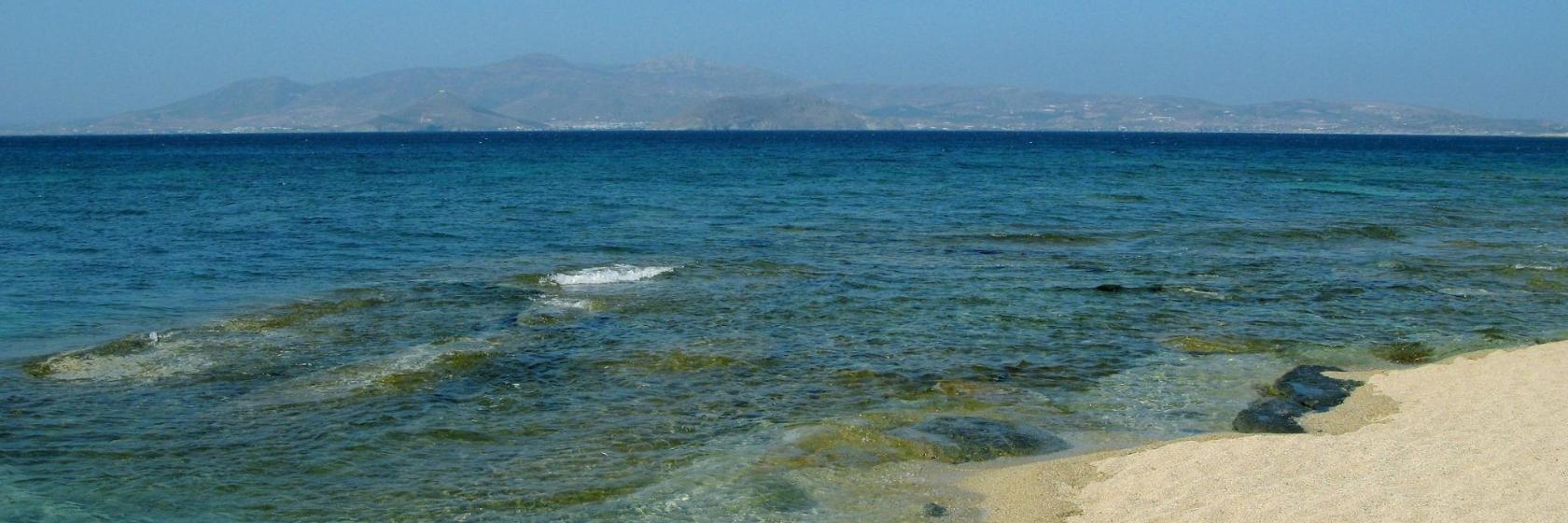 NYMΦS nectar & ambrosia