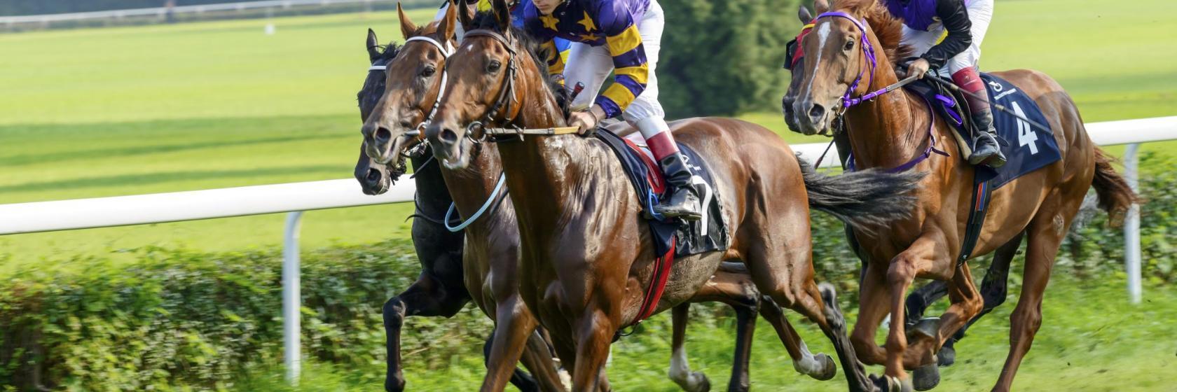 Hoppegarten Horse Racing