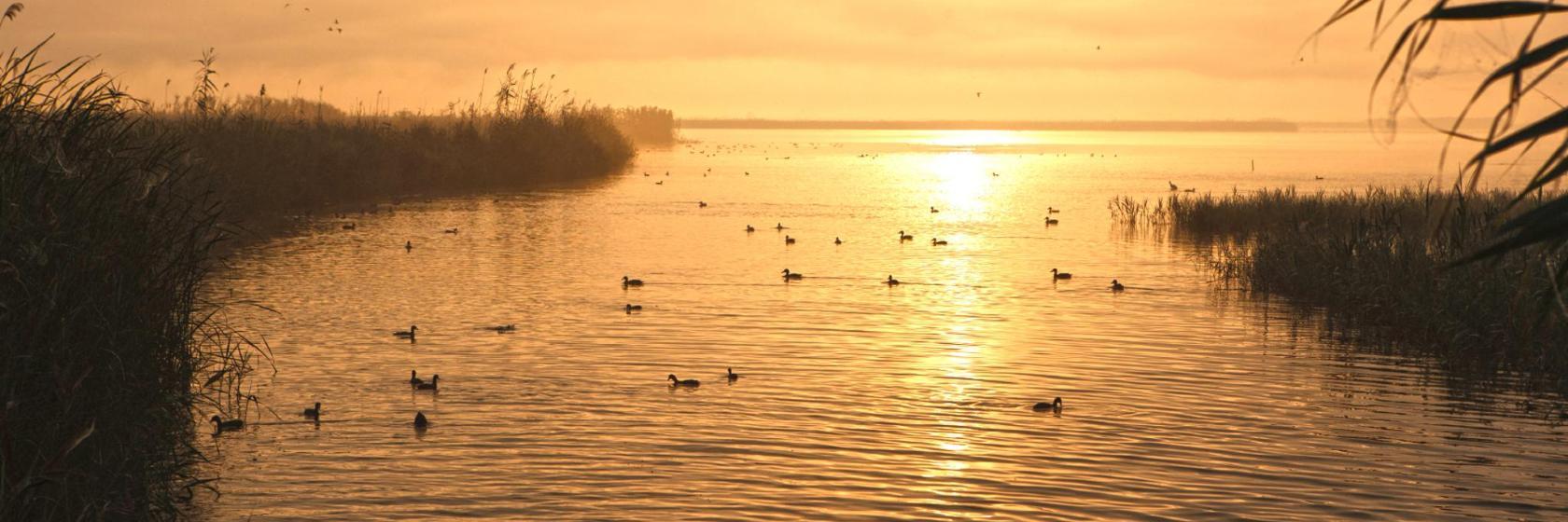 Delta do Ebro