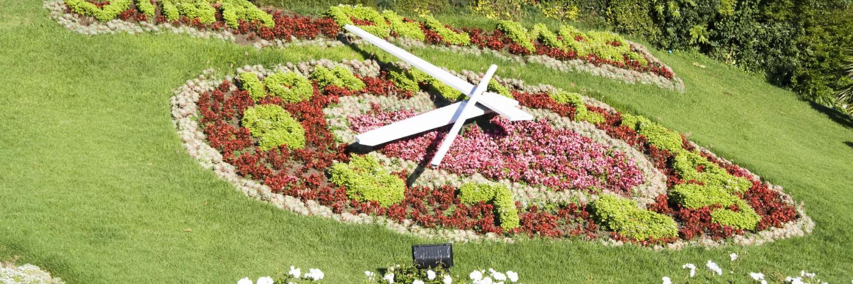 Flower clock