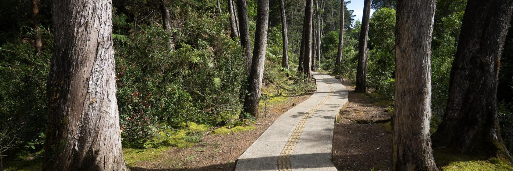 Ecotourism Park Arvi