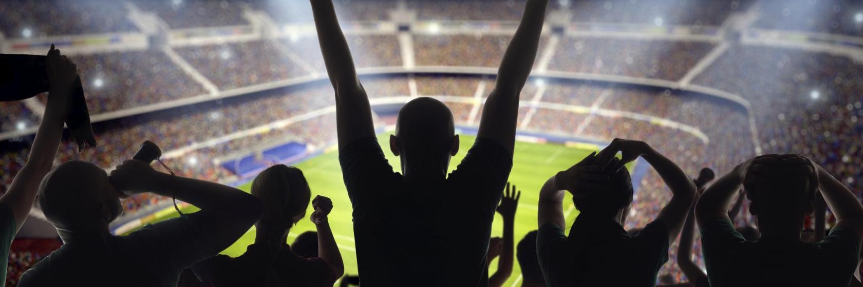 Visite du Groupama Stadium