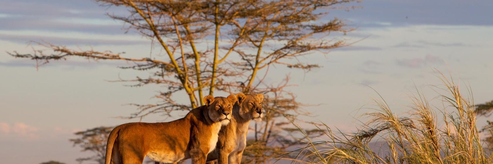 Serengeti National Park