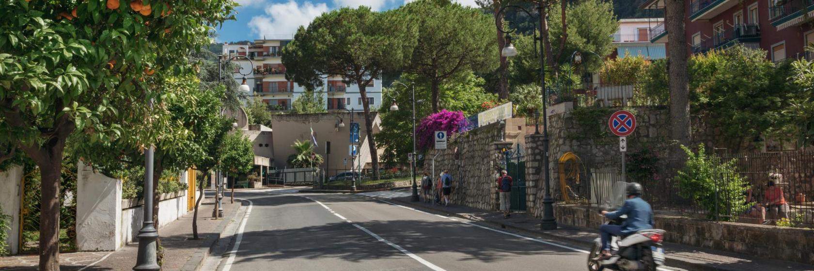 Viale degli Aranci