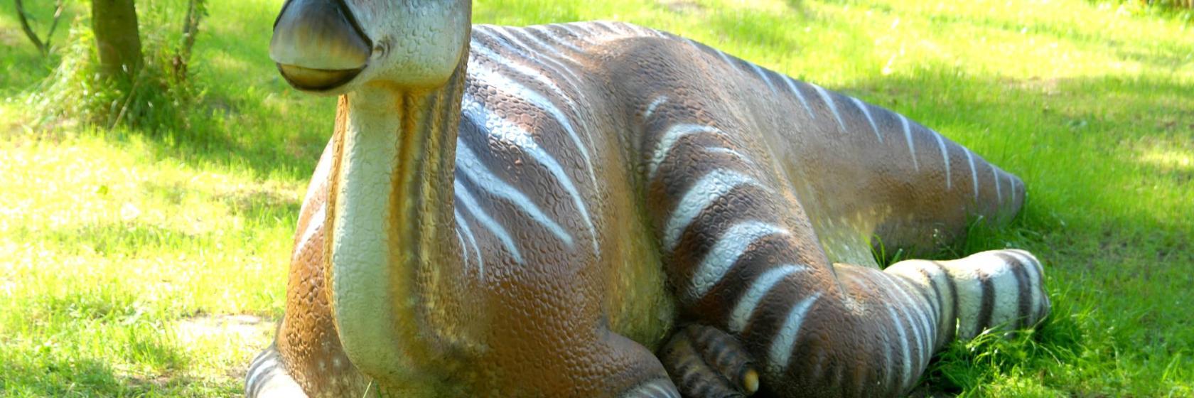 Dino Park