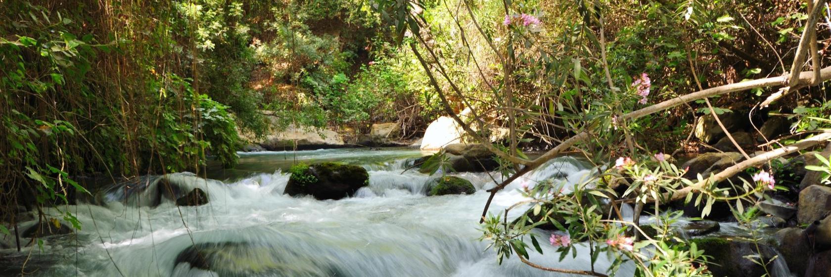 Hermon Stream Banias Nature Reserve