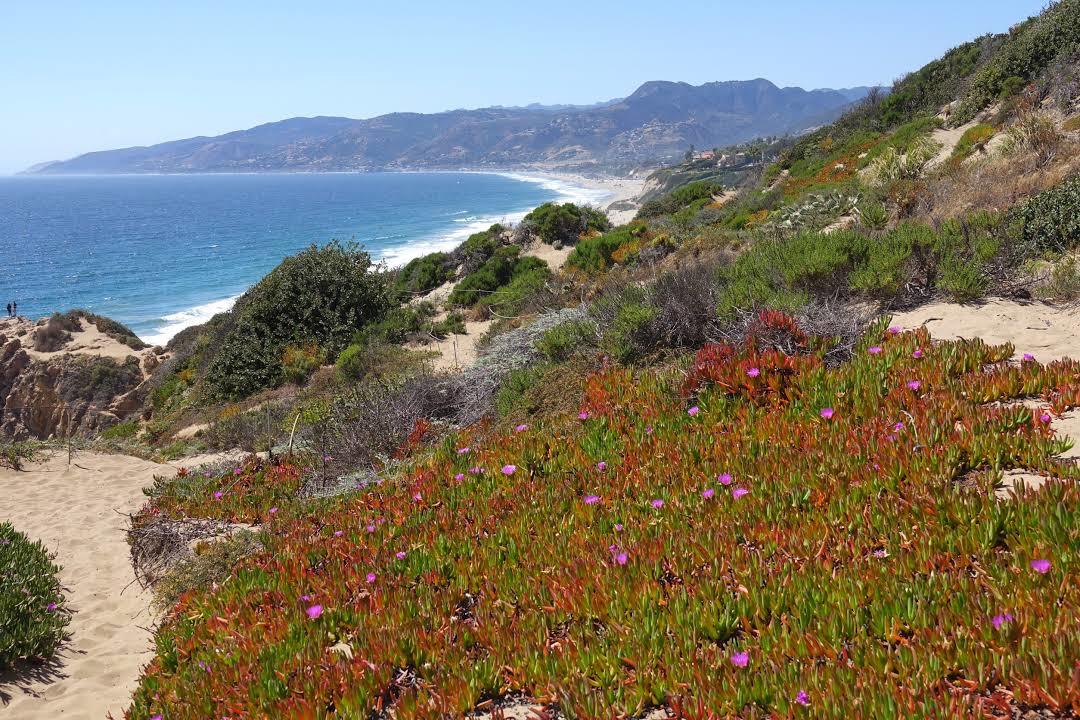 Point Dume State Beach