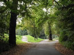 Waldpark Mannheim
