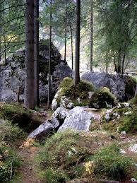 Zauberwald