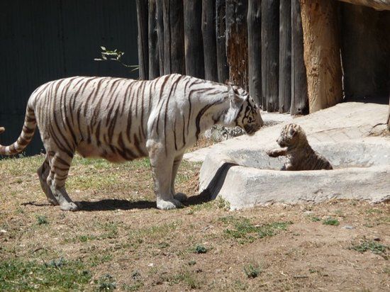 Zoológico de Guadalajara