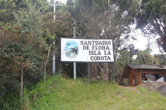 Laguna De La Cocha