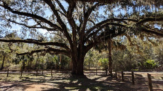 Moody Homestead Park