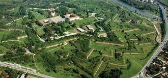 Festung Arad