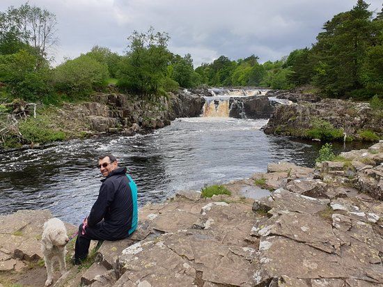 Low Force