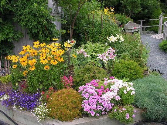 MUN Botanical Garden