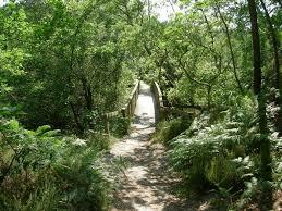 Natural Reserve of the Courant d'Huchet