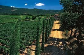 Tenuta Sette Ponti