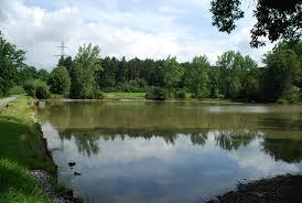 Renninger See