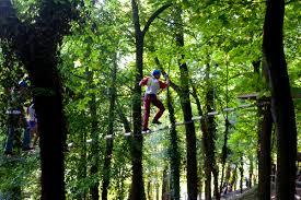 Majagreen Adventure Park Popoli