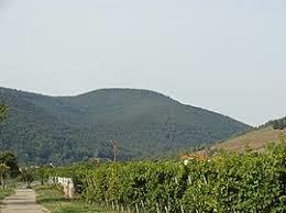 Hochberg