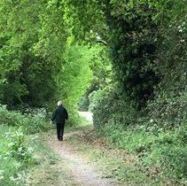 Blackwater Rail Trail