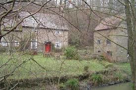 Wyre Forest National Nature Reserve