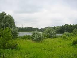 Laßzinssee