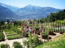Jardin des cimes